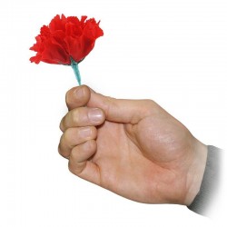 Da Fiammifero a Rosa | Agile Italia