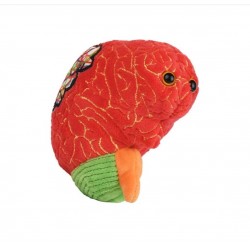 Giantmicrobes Adhd | Agile Italia