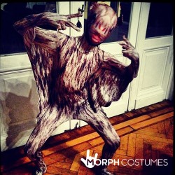 Morphsuit Bambino Pipistrello M | Agile Italia