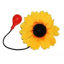 Girasole Fiore Spruzza Acqua | Agile Italia