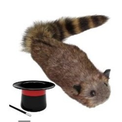 Racoon - pupazzo Magico - Procione Mascotte | Agile Italia