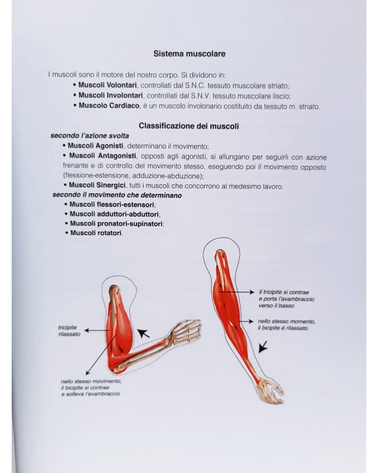 LIBRO MANUALE DI CERCHIO AEREO