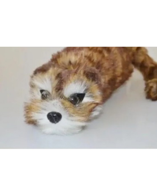 RACOON BIG - PUPAZZO MAGICO - PROCIONE - MASCOTTE