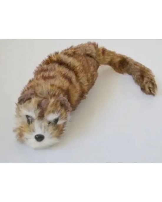 RACOON BIG - PUPAZZO MAGICO - PROCIONE - MASCOTTE