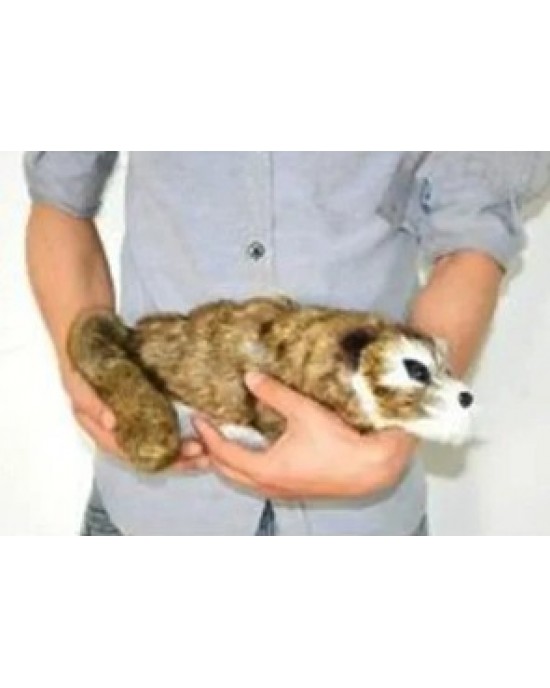 RACOON BIG - PUPAZZO MAGICO - PROCIONE - MASCOTTE