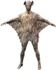 MORPHSUITS BAMBINO ANIMALE PIPISTRELLO T. M