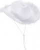CAPPELLO COWBOY CON PIUME