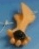 NASO STUPIDO CON MANO