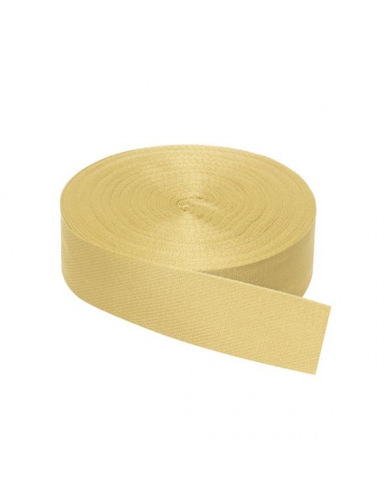 KEVLAR TESSUTO 50 mm AGILE x 10 MT