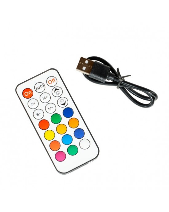 FLOWERSTICK LED RICARICABILE