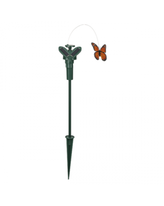 SOLARE FARFALLA VOLANTE