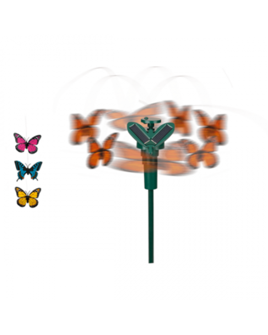SOLARE FARFALLA VOLANTE