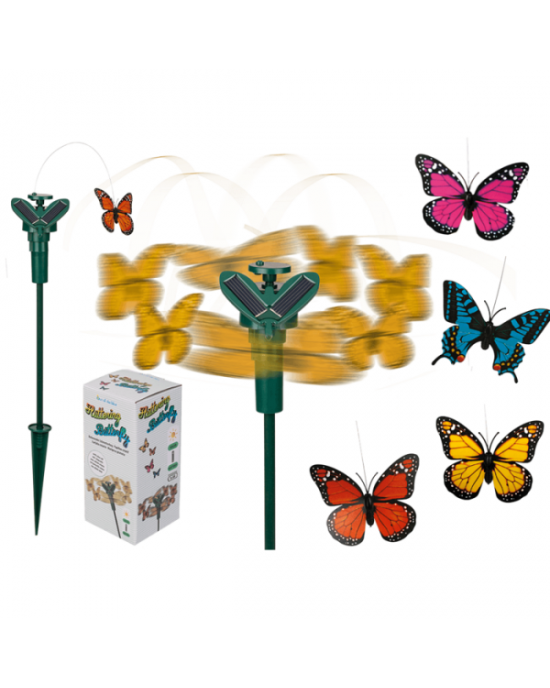 SOLARE FARFALLA VOLANTE