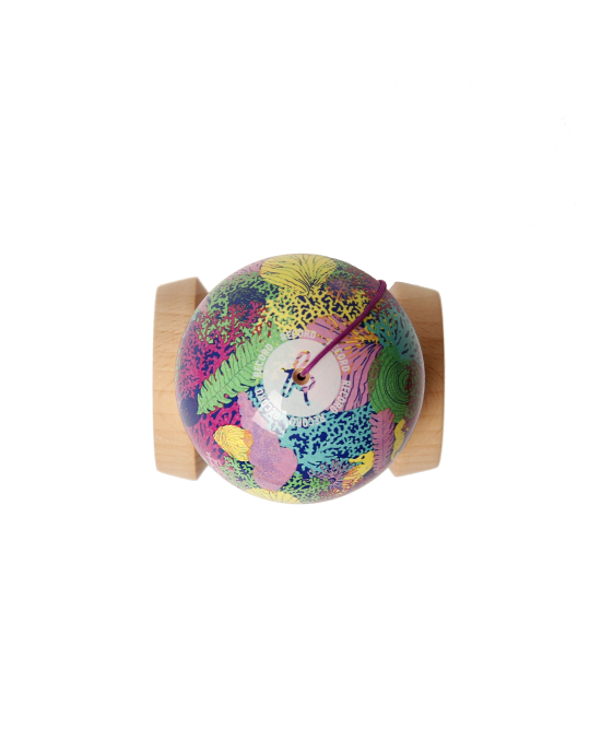 KENDAMA RECORD PLUS