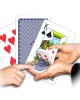 CARTE MAGICHE MAZZO SVENGALI