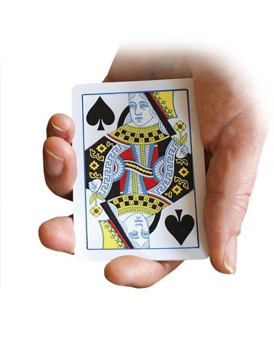 CARTE TROVA LA REGINA - Find the Queen