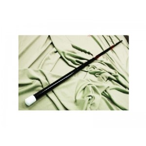 APPARIZIONE DEL BASTONE