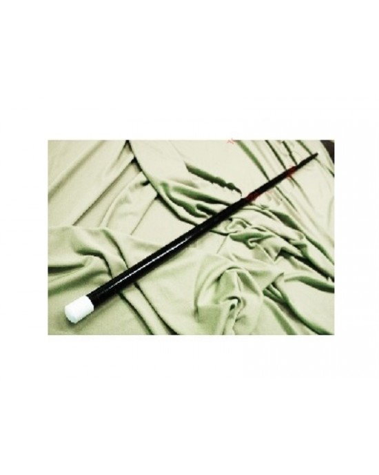 APPARIZIONE DEL BASTONE