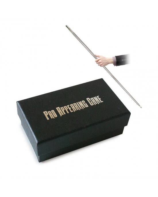 APPARIZIONE DEL BASTONE IN ACCIAIO ( ARGENTO)