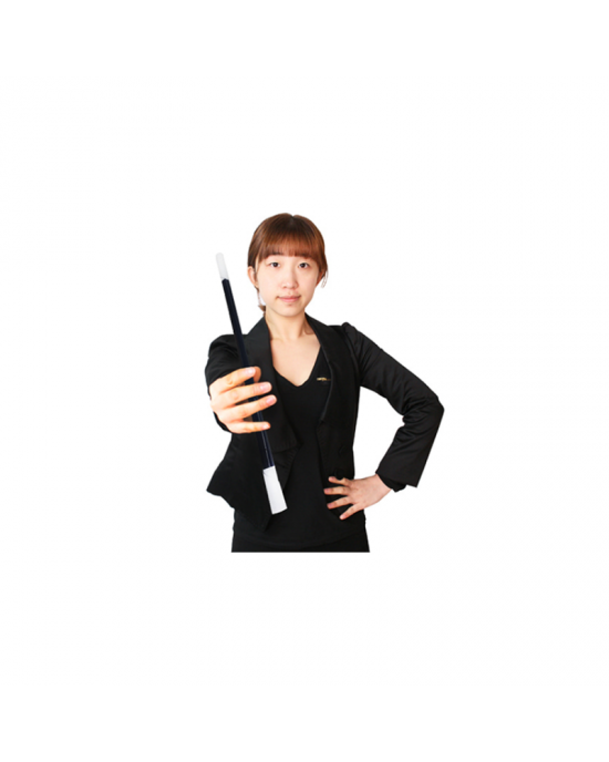 BACCHETTA APPARIZIONE E SPARIZIONE