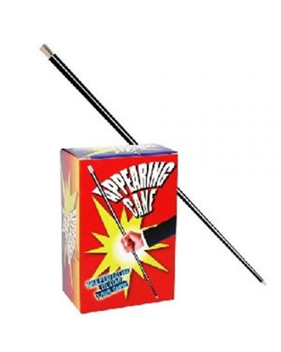 APPARIZIONE DEL BASTONE