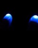 FALSO POLLICE LUMINOSO D-  2 GIMMICKS - Bianco / Blu / Rosso