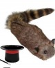 Racoon Procione Orsetto Lavatore