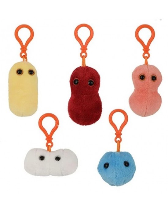 GM BOX GIORNI DI MALATTIA Sick Day