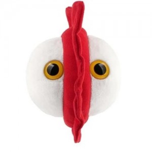 GIANTMICROBES VARICELLA ZOSTER VIRUS Chikenpox