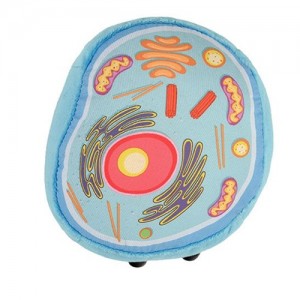 GIANTMICROBES CELLULA ANIMALE Animal Cell