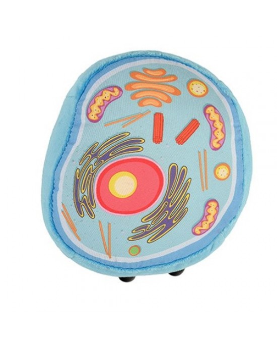 GIANTMICROBES CELLULA ANIMALE Animal Cell