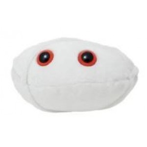 GIANTMICROBES ANTRACE (Anthrax)