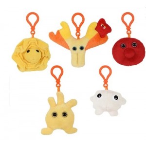 GM BOX CELLULE DEL SANGUE blood cells