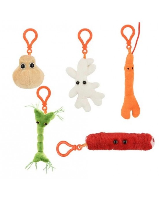 GM BOX CELLULE DEL CORPO Body Cells