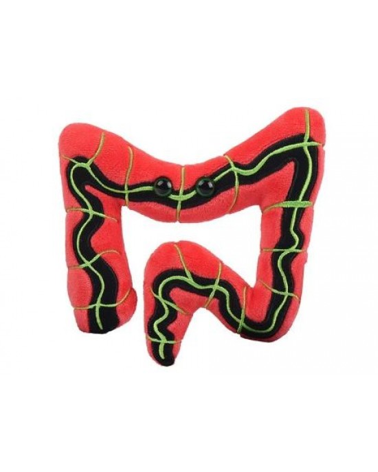 GIANTMICROBES SINDROME INTESTINO IRRITABILE (Irritable Bowel Syndrome)