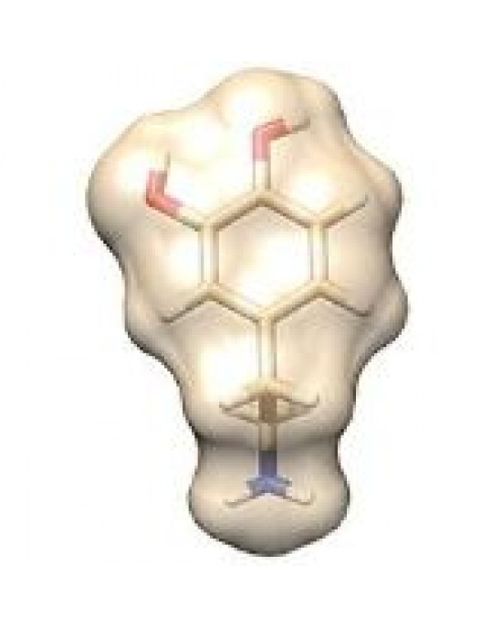 GIANTMICROBES DOPAMINE Dopamina