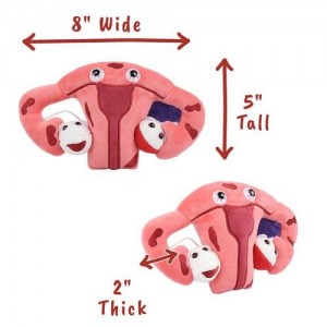 GIANTMICROBES ENDOMETRIOSIS