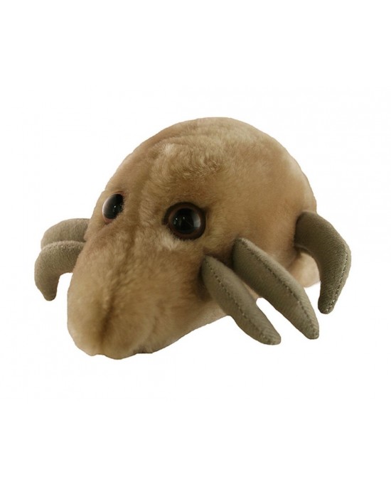 GIANTMICROBES ACARO DELLA POLVERE Dust Mite