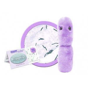 GIANTMICROBES  ACIDOPHILUS