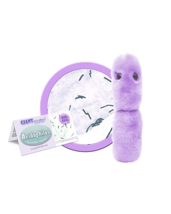 GIANTMICROBES  ACIDOPHILUS