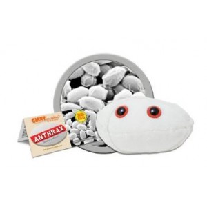 GIANTMICROBES ANTRACE (Anthrax)