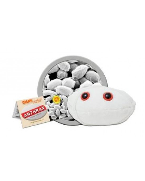 GIANTMICROBES ANTRACE (Anthrax)