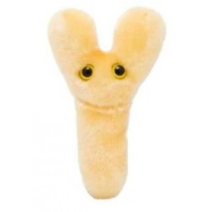 GIANTMICROBES BIFIDO (Bifidobacterium Longum)