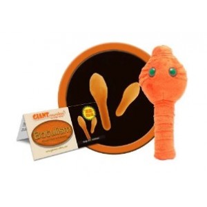 GIANTMICROBES BOTULISMO Botox / Botulism