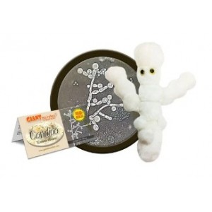 GIANTMICROBES CANDIDA