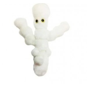 GIANTMICROBES CANDIDA