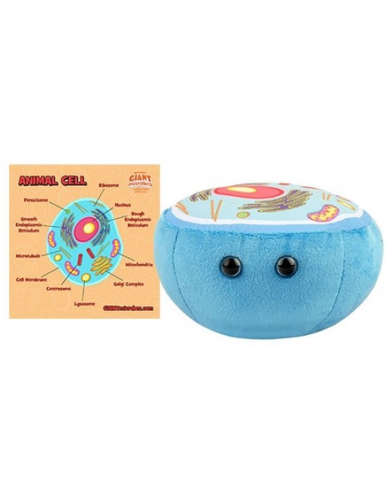 GIANTMICROBES CELLULA ANIMALE Animal Cell