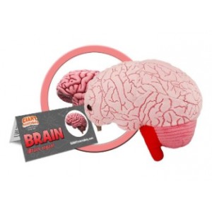 GIANTMICROBES CERVELLO brain