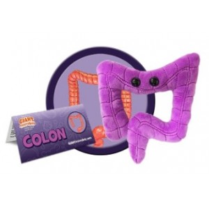 GIANTMICROBES COLON