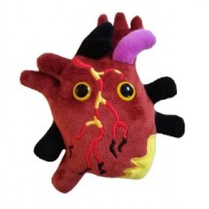 GIANTMICROBES MALATTIA CARDIACA Heart Disease